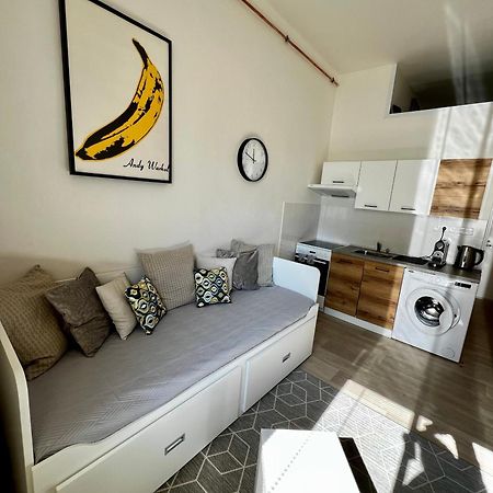 Apartman Zlata Hvezda チェスケー・ブジェヨヴィツェ エクステリア 写真