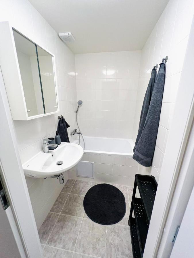 Apartman Zlata Hvezda チェスケー・ブジェヨヴィツェ エクステリア 写真