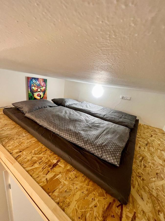 Apartman Zlata Hvezda チェスケー・ブジェヨヴィツェ エクステリア 写真