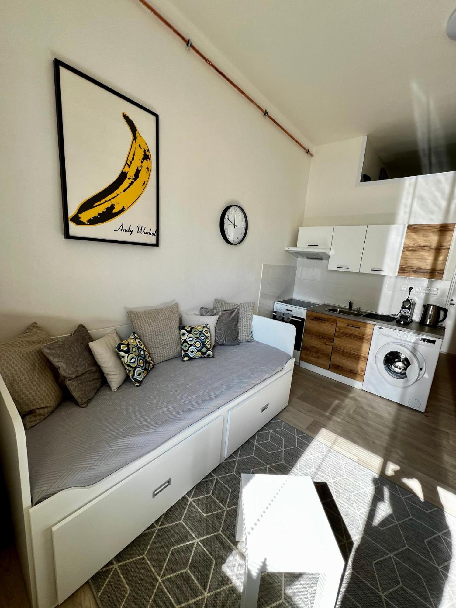 Apartman Zlata Hvezda チェスケー・ブジェヨヴィツェ エクステリア 写真